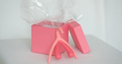 Kliotoris-Modell in 3D für die Beratungspraxis