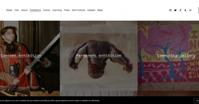 Screenshot Vagina Museum London